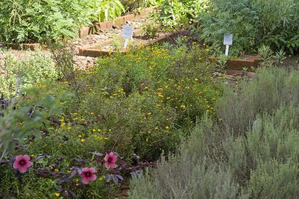 Asclepios Wellness & Healing Retreat Hotel Carrillos Kültér fotó